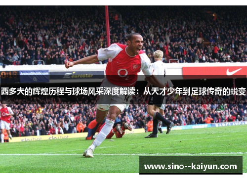 西多夫的辉煌历程与球场风采深度解读：从天才少年到足球传奇的蜕变