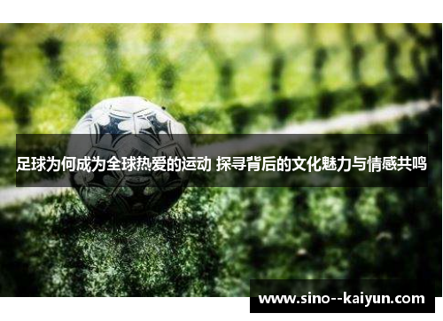 足球为何成为全球热爱的运动 探寻背后的文化魅力与情感共鸣