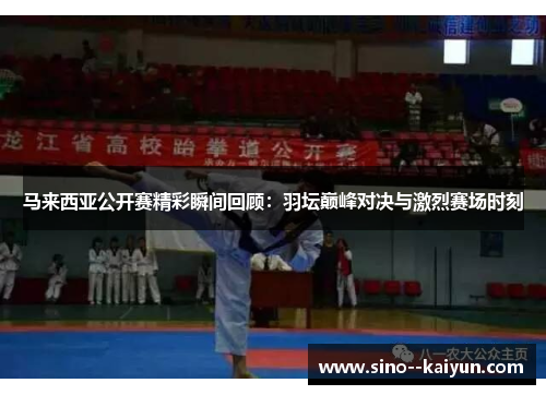 马来西亚公开赛精彩瞬间回顾:羽坛巅峰对决与激烈赛场时刻 马来西亚公开赛精彩瞬间回顾:羽坛巅峰对决与激烈赛场时刻